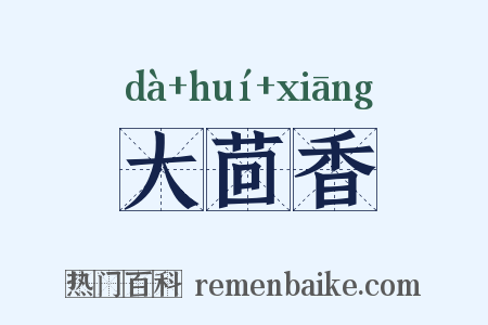 大茴香是什么意思的图片
